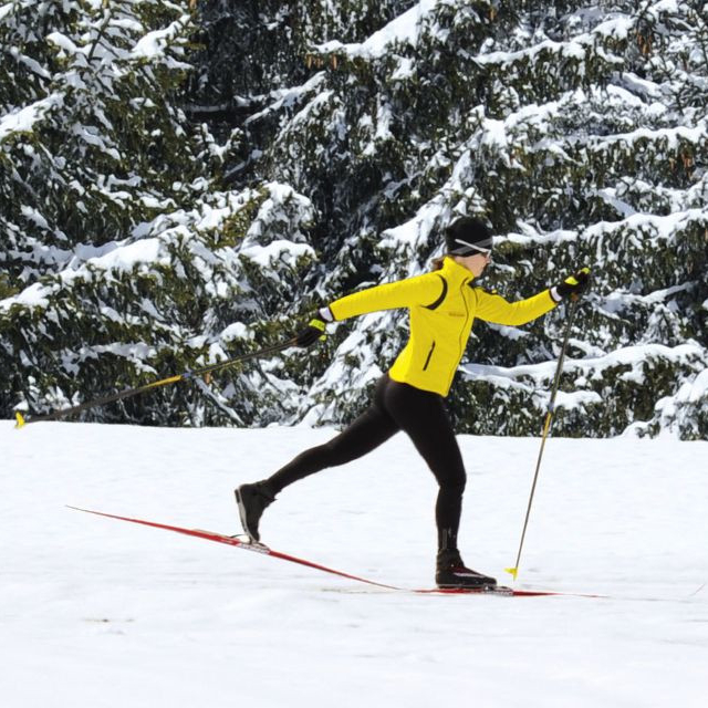 Langlauf Erwachsene Kurse